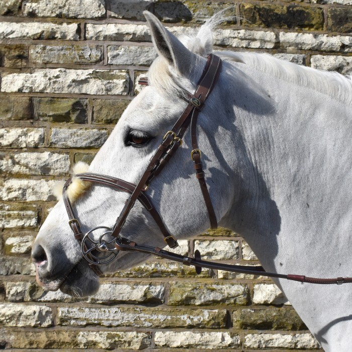 BR101 Vienna Bridle with Reins - Available in Cob or Full - Black or Havana, Pick'n'Mix